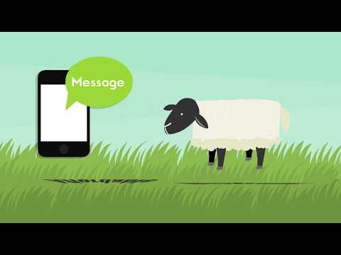 Herd Defender Overview