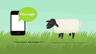 Herd Defender - Overview