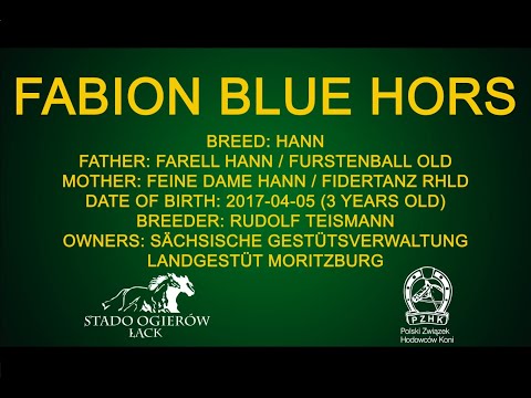 FABION BLUE HORS han.