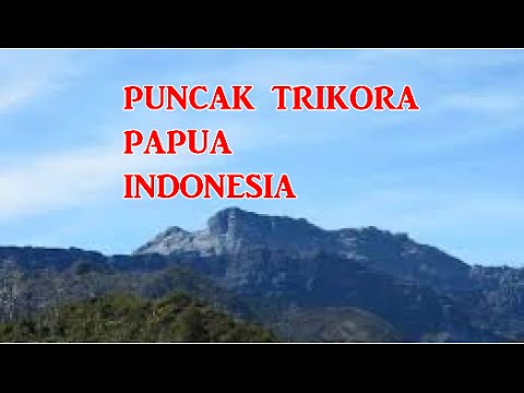 Wisata Indonesia : Puncak Trikora Papua 