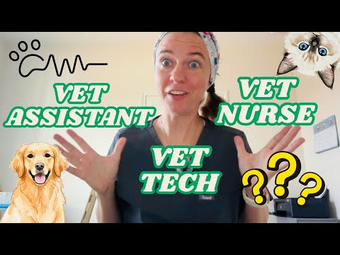 Veterinary Assistant Salary