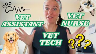 What's the DIFFERENCE between a Vet Assistant, a Vet Tech, and a Vet Nurse