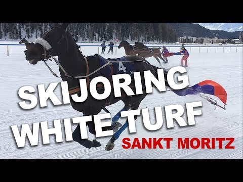 SKIJORING WHITE TURF - Sankt Moritz 2018