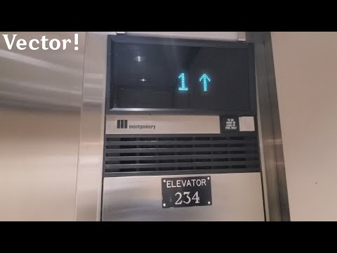 AMAZING Montgomery Vector Traction Elevators at UW Allen Library South Wing - Seattle WA