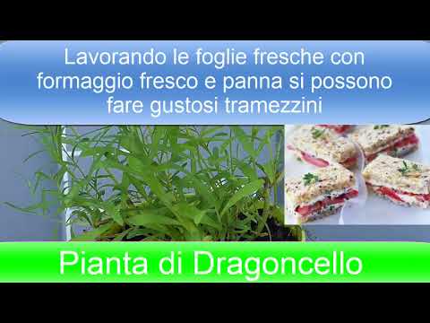 Fastidio in gola quando losteocondrosi cervicale Ð ± оР»NOE D² Ð³Ñ ÑƒÐи € € D D² вÐμÑ ... n n ‡ РнÐμй ° N N N, D пин