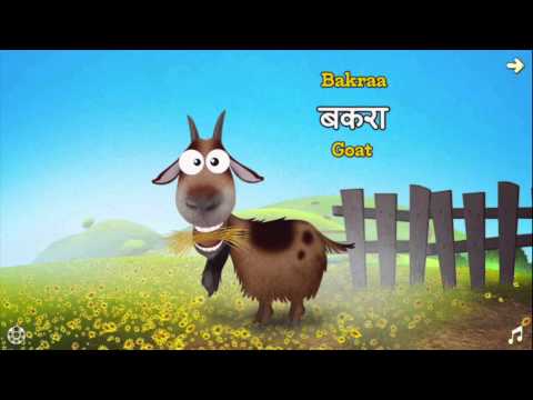 Appy Animals Video