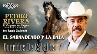 El Sarandeado y La Bala - Pedro Rivera Corridos de Caballos con Banda Sinaloense