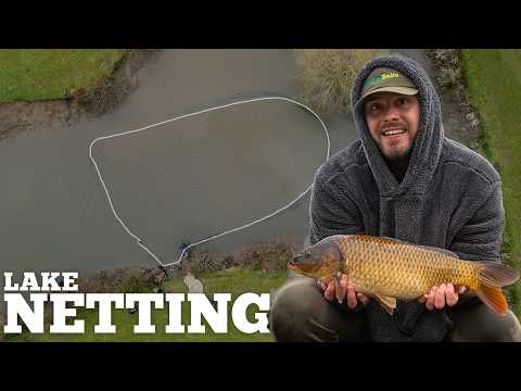 Stocking NEW CARP Into Our Pond! ParkerBaits Lake Netting