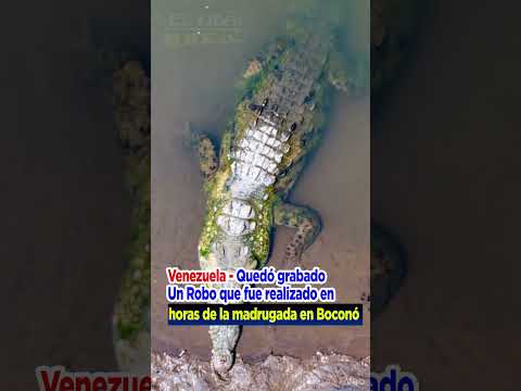 Jinotega, informaron sobre la presencia de un reptil de gran tamaño en las cercanías del Río Coco