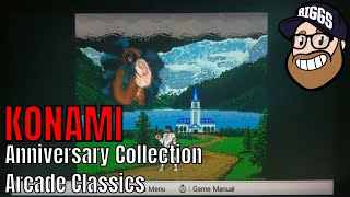 Konami Anniversary Collection Arcade Classics