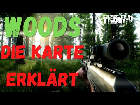 Woods Map Überblick - ESCAPE FROM TARKOV Guide 2021