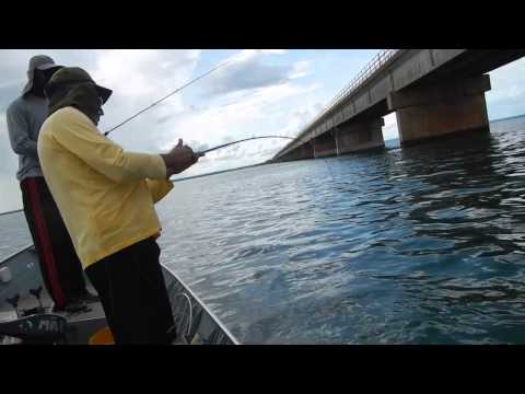 Pesca Armal (Butuado) - Rio Paraná Pres.Epitacio/SP - Mana