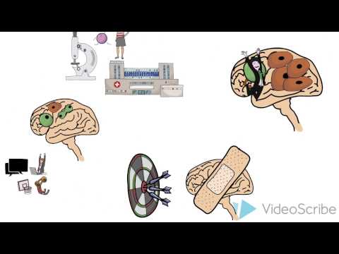 My PhD thesis in 60 seconds!