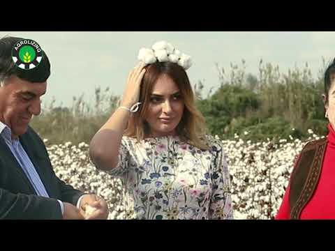 Bu gün hər birimizin, torpağı, zəhməti sevənlərin günüdür! Zəhmətkeşlərimizin yarışı, III hissə