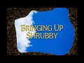Bringing Up Shrubby Title Card Remade