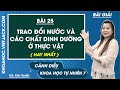 Khoa học tự nhiên 7 Cánh diều Bài 25: Trao đổi nước, các chất dinh dưỡng ở thực vật - Trang 115, 121
