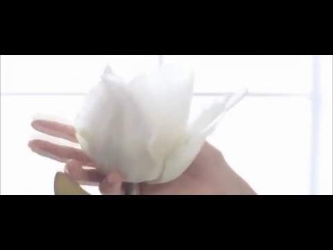 SNSD) SeoHyun Trax Teaser (BG.She)