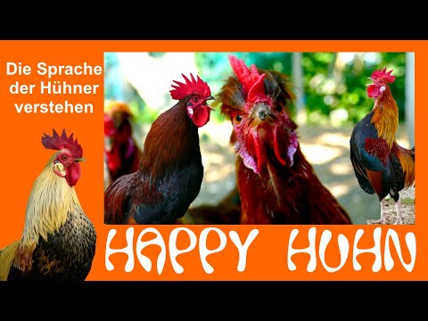 , title : 'E70 Die Hühnersprache verstehen lernen - HAPPY HUHN - Das Verhalten der Hühner deuten, Körpersprache'