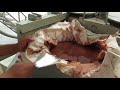 How Cocoa Butter is Extracted from Cocoa Paste