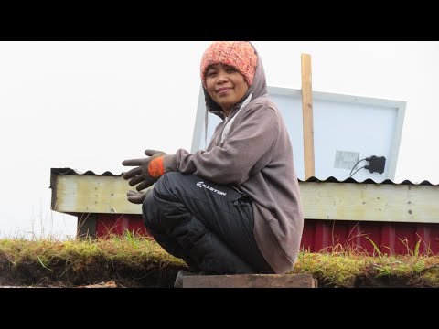 Chicken coop with living roof