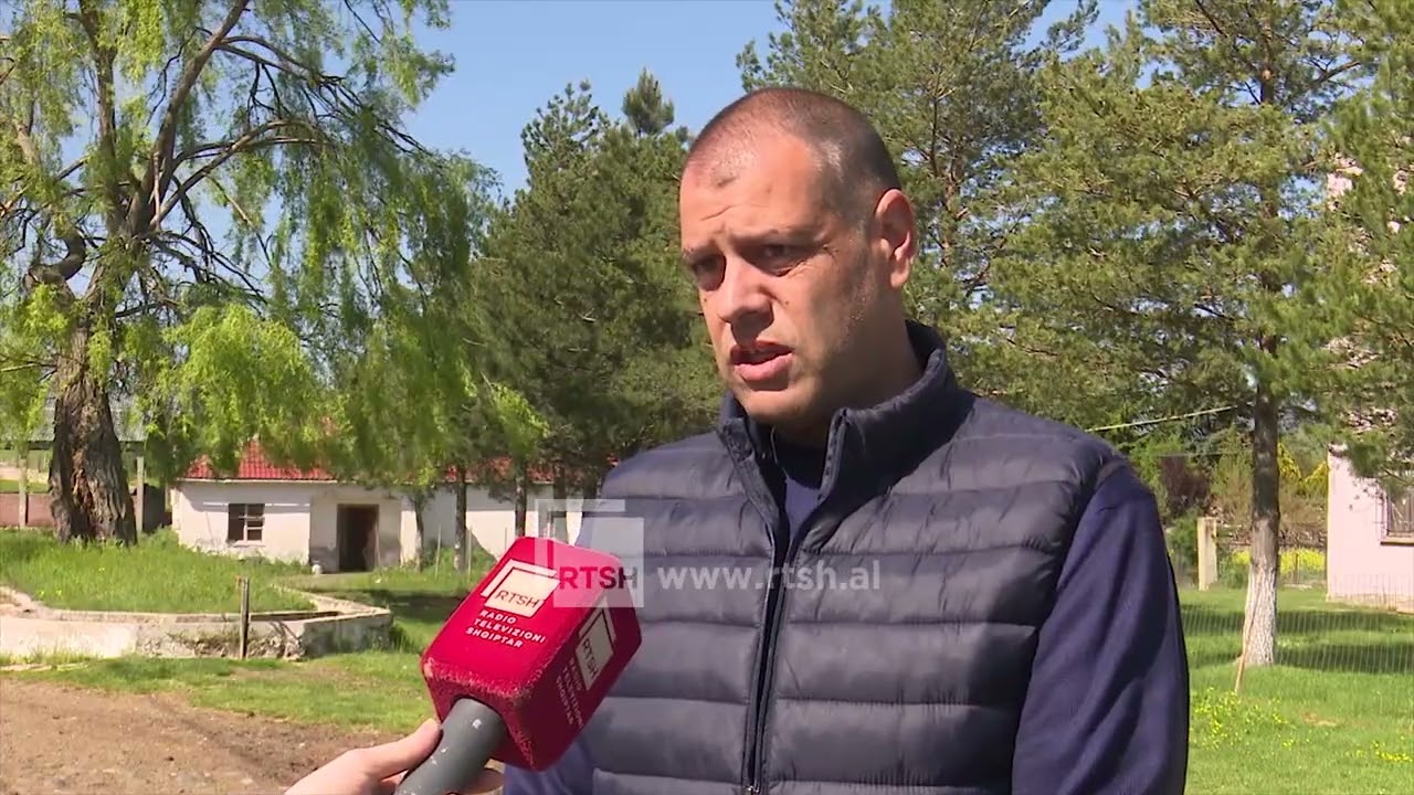 Vaksinimi i bagëtive të imëta, veterinerët apelojnë për respektimin e protokolleve