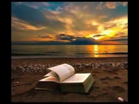 Alla ricerca della felicità