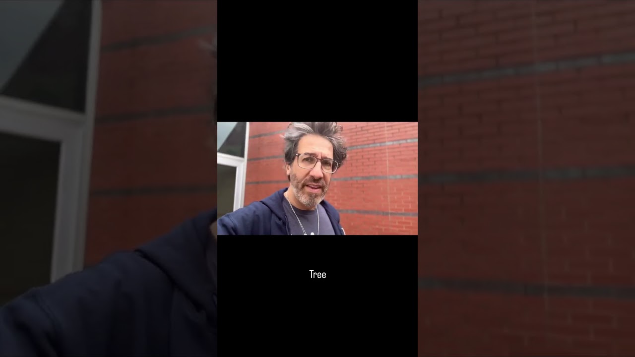 What She Saw From Her Window