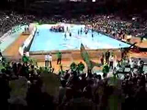 Hammarby-Sävehof Final 2008