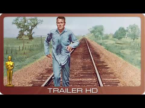 Trailer-Vorschau: Der Unbeugsame