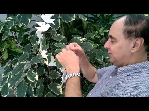 ARCHIE UNEMPLOYED - Live from the Mansion