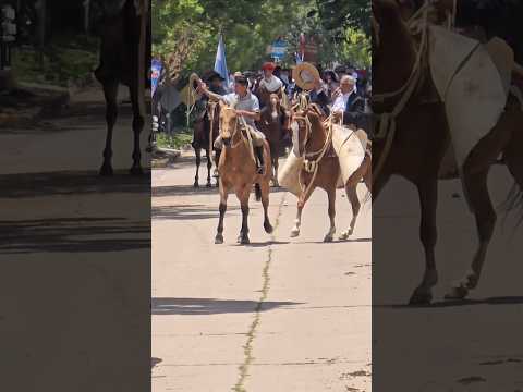 Asi desfilamos para el dia de la tradición en Murphy santa fe 🇦🇷