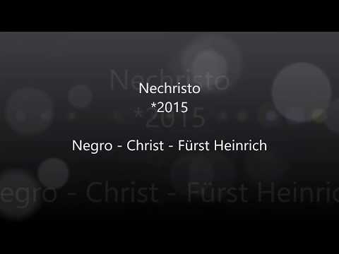 Nechristo - April 2020