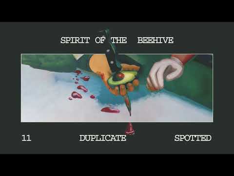 Video thumbnail for DUPLICATE SPOTTED