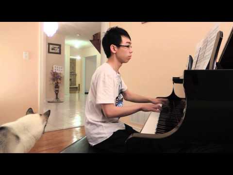 David Tam piano - lion king / can you feel the love / Elton John