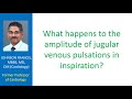 What happens to the amplitude of jugular venous pulsations in inspiration?