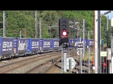 88008 4s43 Daventry - Mossend Tesco Train, Sat. 5th August 2017