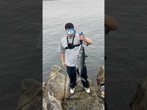 Pesca de mono (bonito) en caldera,atacama 6.5 kg de puro poder 🎣🙌🤯