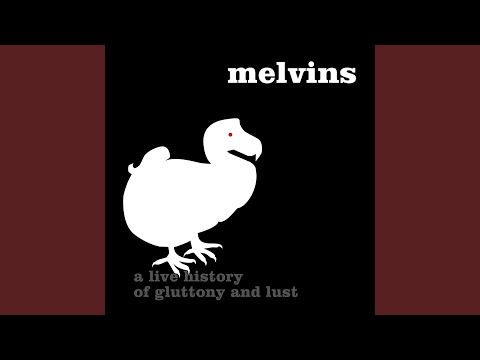 Videoclip de Going Blind (Live) — Melvins