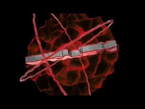 Intro para EnDlex / Templete