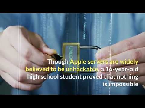 teenager hacked apple guilty