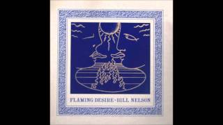 Bill Nelson the burning question cover 2013