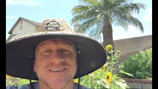 Garden Memories #1