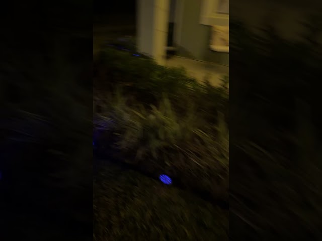 Vídeo relacionado con FIFlying Guirnaldas Luces Exterior Solar, 10.45M/34.3Ft Lámparas Solares de Jardín Luces con 12+1 G40 Bombillas, 8 Modos Impermeable Guirnalda Solares para Jardín, Patio, Café, Fiesta, Terraza