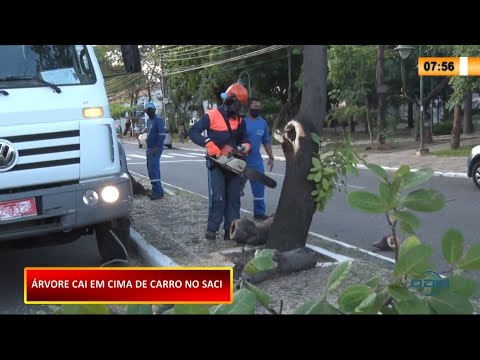 írvore cai em cima de veículo na Avenida Principal do Saci 28 01 2021