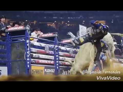 Vídeos de rodeio para status do whatsapp