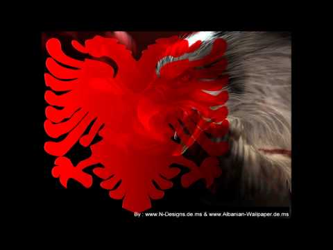 kkselo -  shkurt e shqip