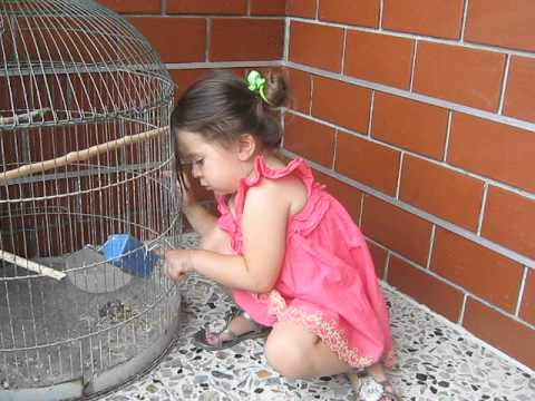 Yulitza y la jaulita