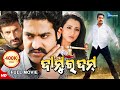 Damu Ra Dum ଦାମୁ ର ଦମ୍ Odia Full Movie HD Jr NTR Trisha Rahul Dev New Film Sandipan 