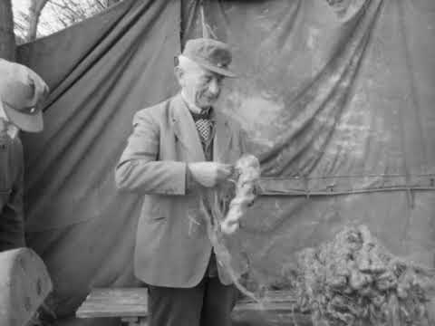 Bäuerliche Flachskultur - Teil 3: Brechen, Schwingen, Hecheln