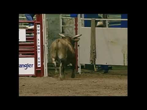 Red Wasp bucks Ted Nuce - 95 PBR San Antonio